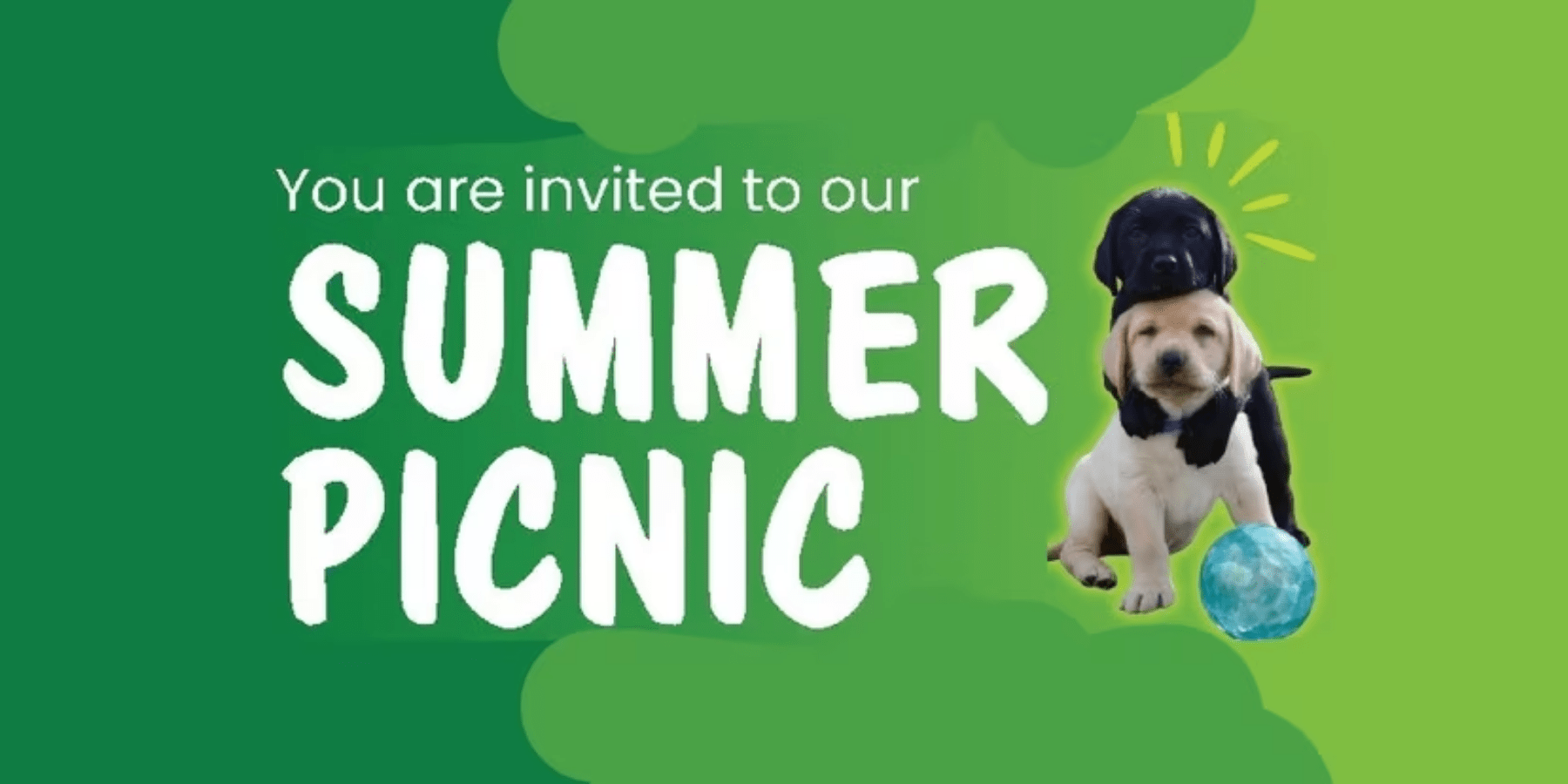 Irish Guide Dogs Summer Picnic charity event Dublin city centre