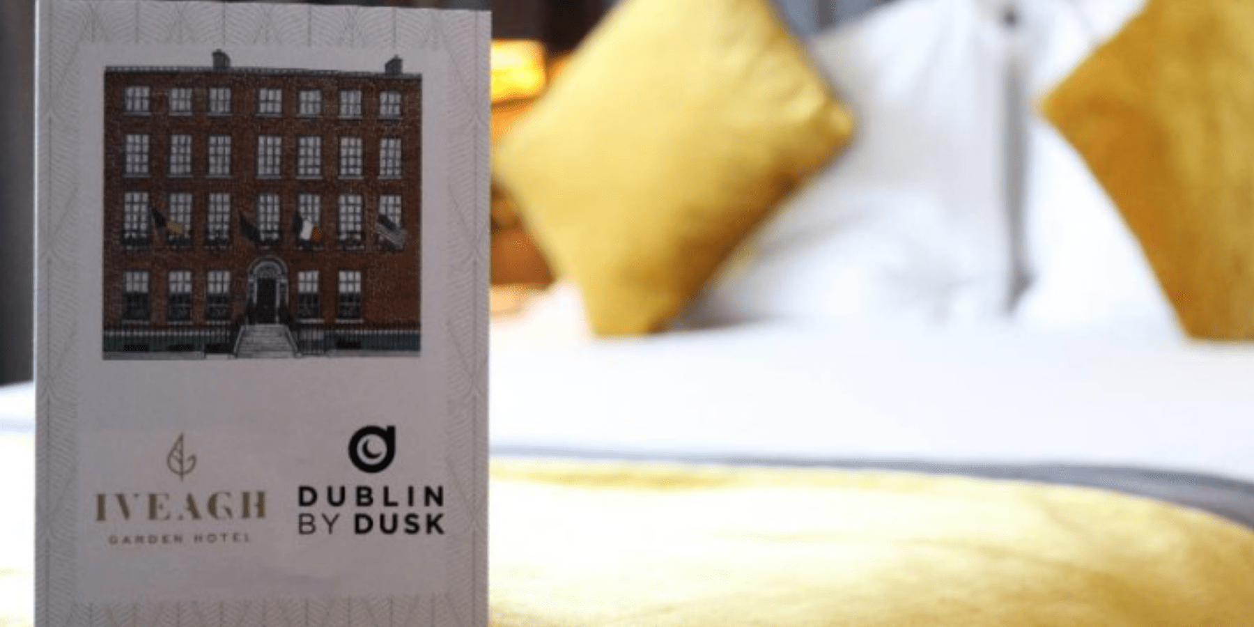 Iveagh Gardens Hotel in Dublin city centre